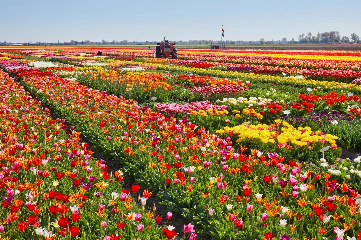 Foto provincie Zuid-Holland