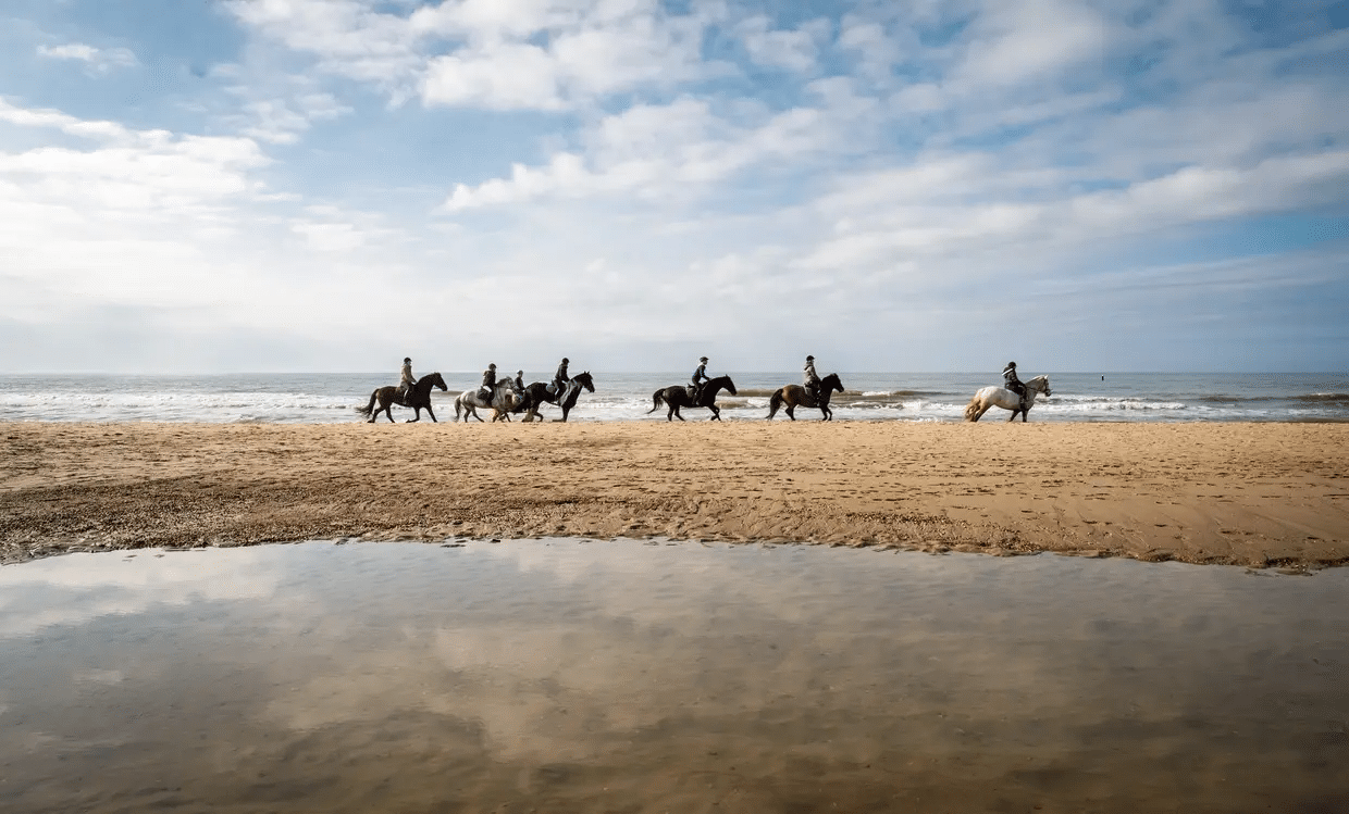 Foto provincie Zeeland
